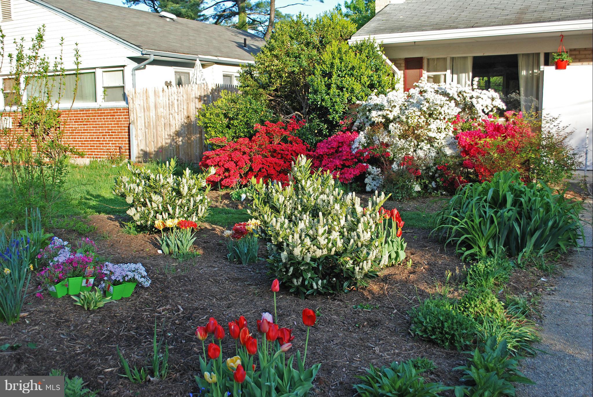 10134 Dallas Avenue Silver Spring, MD 20901 - Photo 4 of 27 a bunch of flowers are in front of house