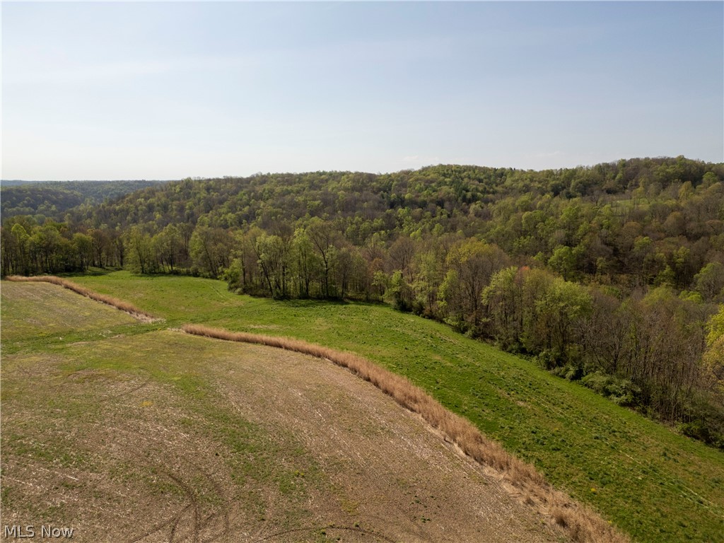 80960 Burkhart Road Tippecanoe, OH 44699 - Photo 33 of 50