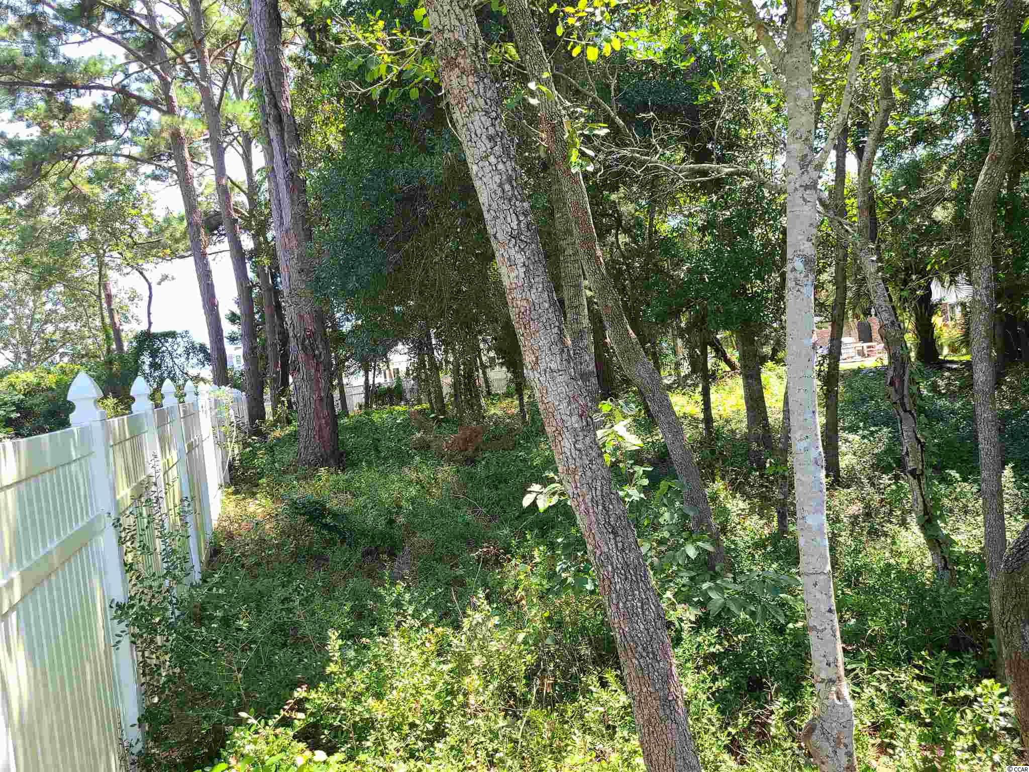 Tbd Springland Lane North Myrtle Beach, SC 29582 - Photo 7 of 8 Gallery Image 7