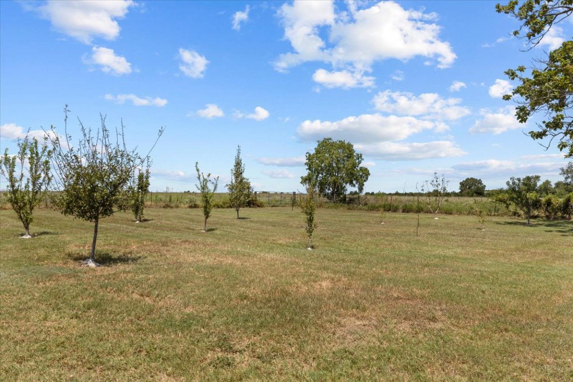 7835 Berger Road Schulenburg, TX 78956 - Photo 33 of 40 Fruit trees-Apple, Peach, Plum, Pear & Nectarine