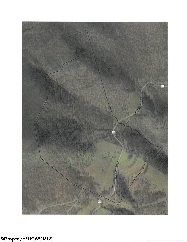 8239 Co Rte 5/2 Seneca Rocks, WV 26884 - Photo 12 of 17 Gallery Image 12