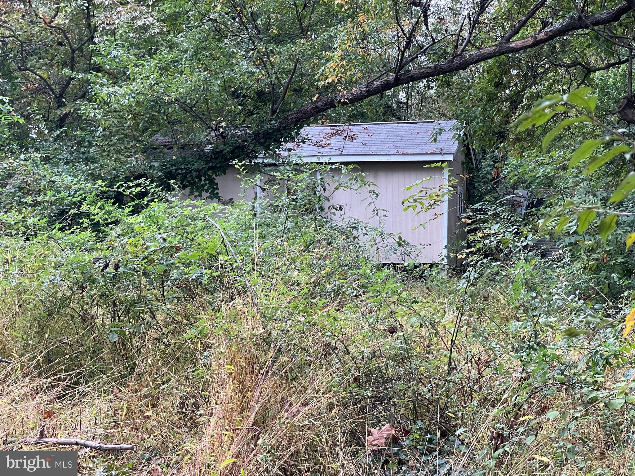 4719 Hydes Road Hydes, MD 21082 - Photo 18 of 20 Shed