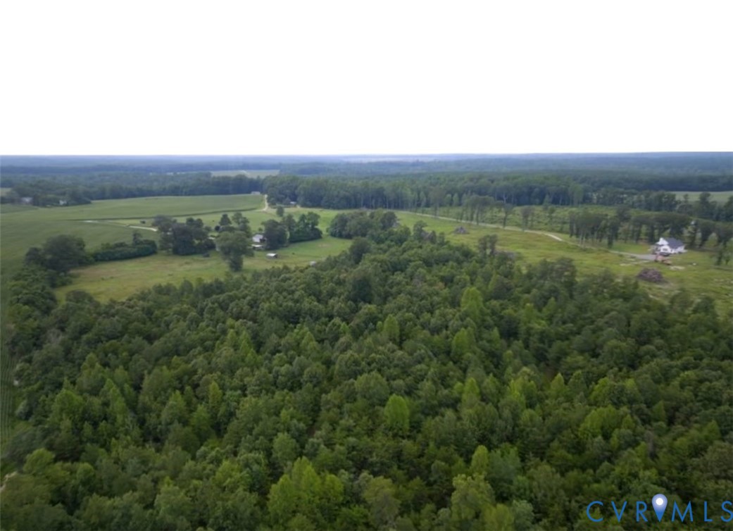 0 Locust Hill Road Bowling Green, VA 22427 - Photo 5 of 7 Overview of rural landscape featuring a heavily wo
