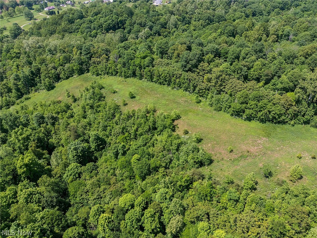 6816 South River Road Blue Rock, OH 43720 - Photo 4 of 41 View of bird's eye view