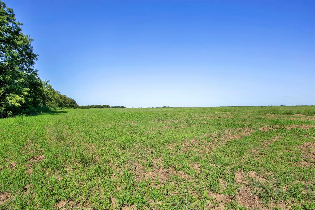 99-ac Buck Creek Road Tioga, TX 76271 - Photo 9 of 12 a view of yard with ocean view