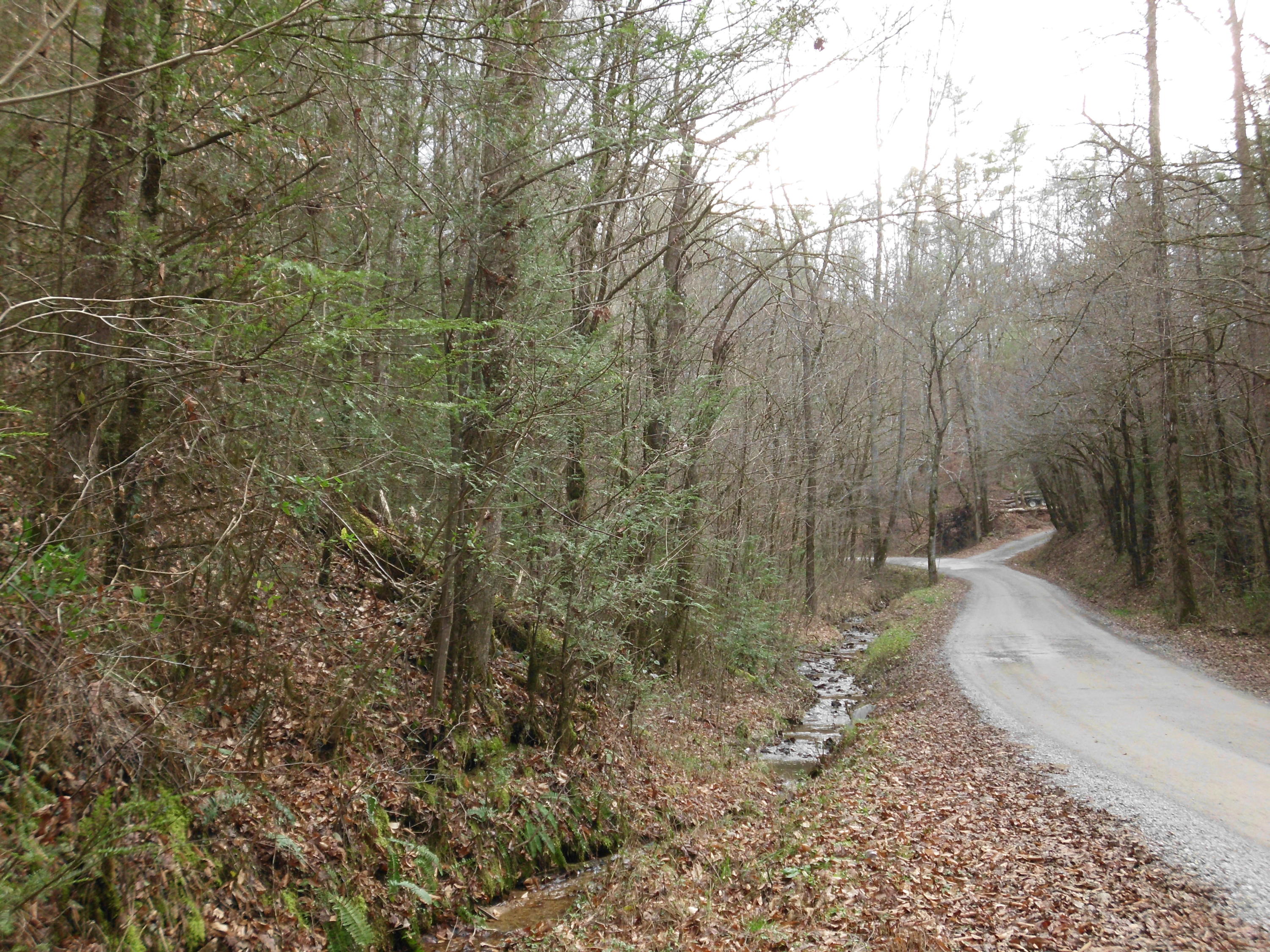 Creek Road Reliance, TN 37369 - Photo 4 of 6 SANY0047