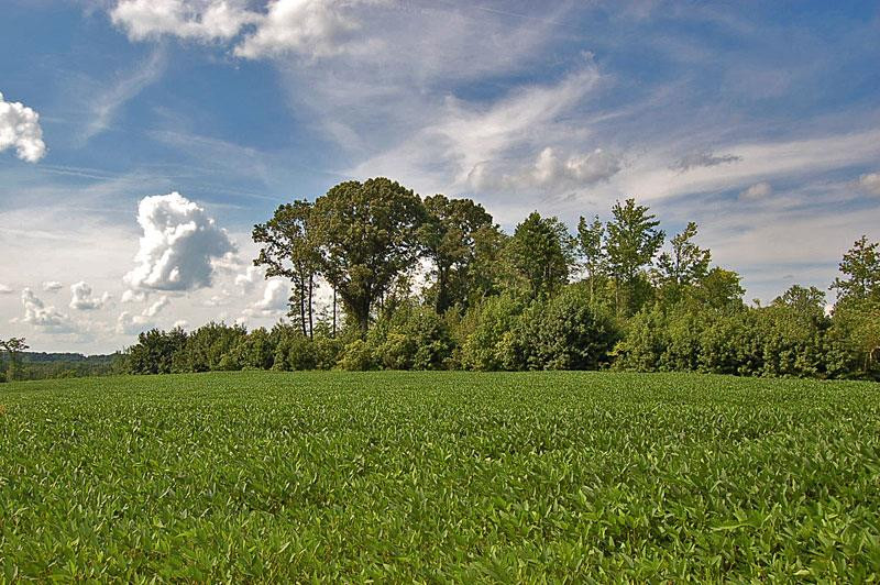 Old Mill Creek Road Roxboro, NC 27574 - Photo 4 of 4 Photo 4
