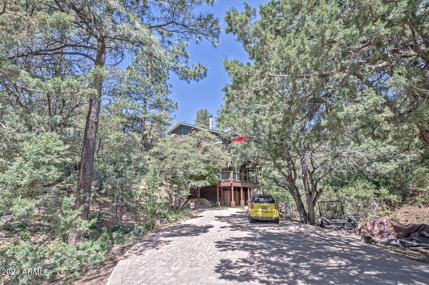 6010 Arroyo Way Pine, AZ 85544 - Photo 45 of 52 a view of a backyard with plants and large trees