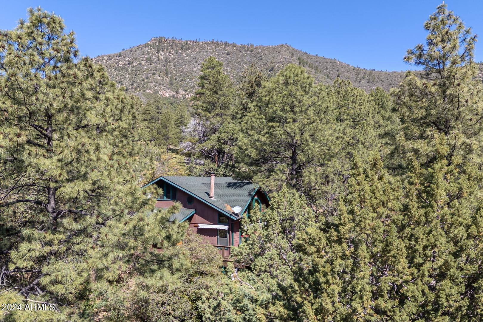 6010 Arroyo Way Pine, AZ 85544 - Photo 46 of 52 a view of a bench in a backyard