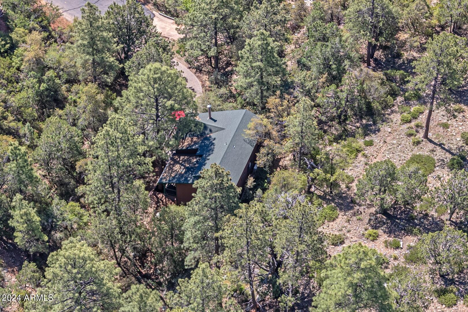 6010 Arroyo Way Pine, AZ 85544 - Photo 50 of 52 an aerial view of residential house with outdoor space and trees all around