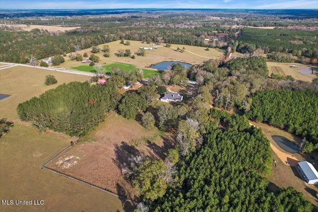 $445,000 | 3100 Wallace Drive Southwest, Bogue Chitto, MS 39629