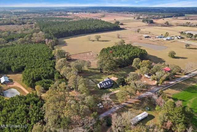 $445,000 | 3100 Wallace Drive Southwest, Bogue Chitto, MS 39629