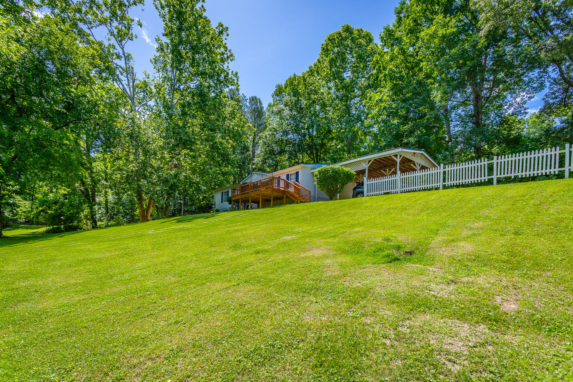 6930 Igou Ferry Road Harrison, TN 37341 - Photo 28 of 38 Back Yard