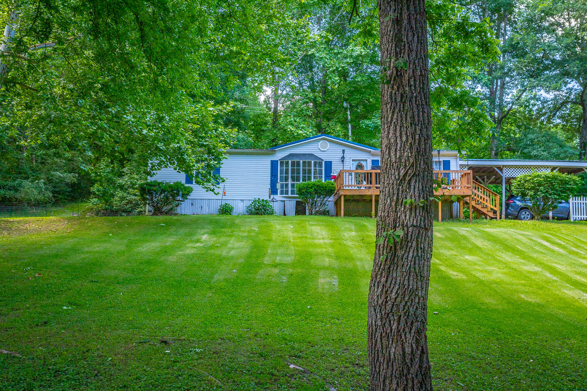6930 Igou Ferry Road Harrison, TN 37341 - Photo 35 of 38 Back Yard