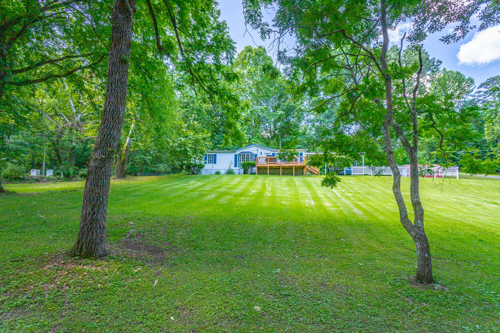 6930 Igou Ferry Road Harrison, TN 37341 - Photo 36 of 38 Back Yard