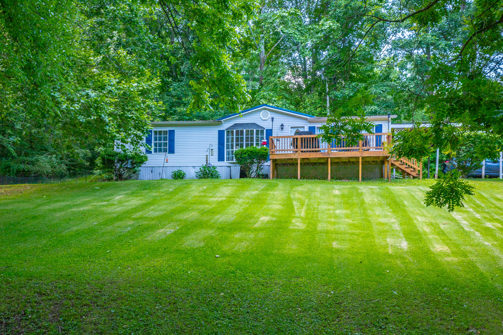 6930 Igou Ferry Road Harrison, TN 37341 - Photo 37 of 38 Back Yard