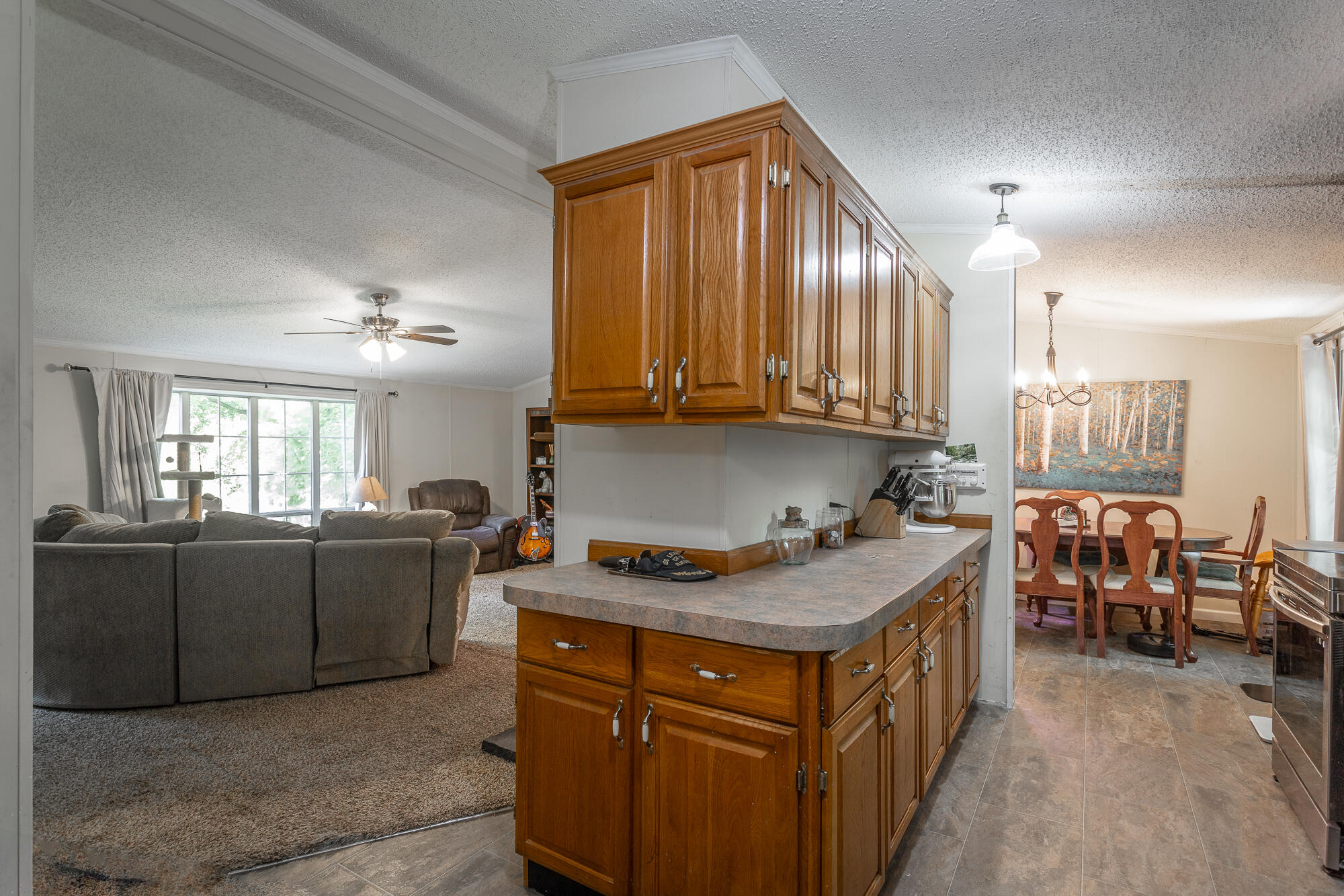 6930 Igou Ferry Road Harrison, TN 37341 - Photo 7 of 38 Kitchen