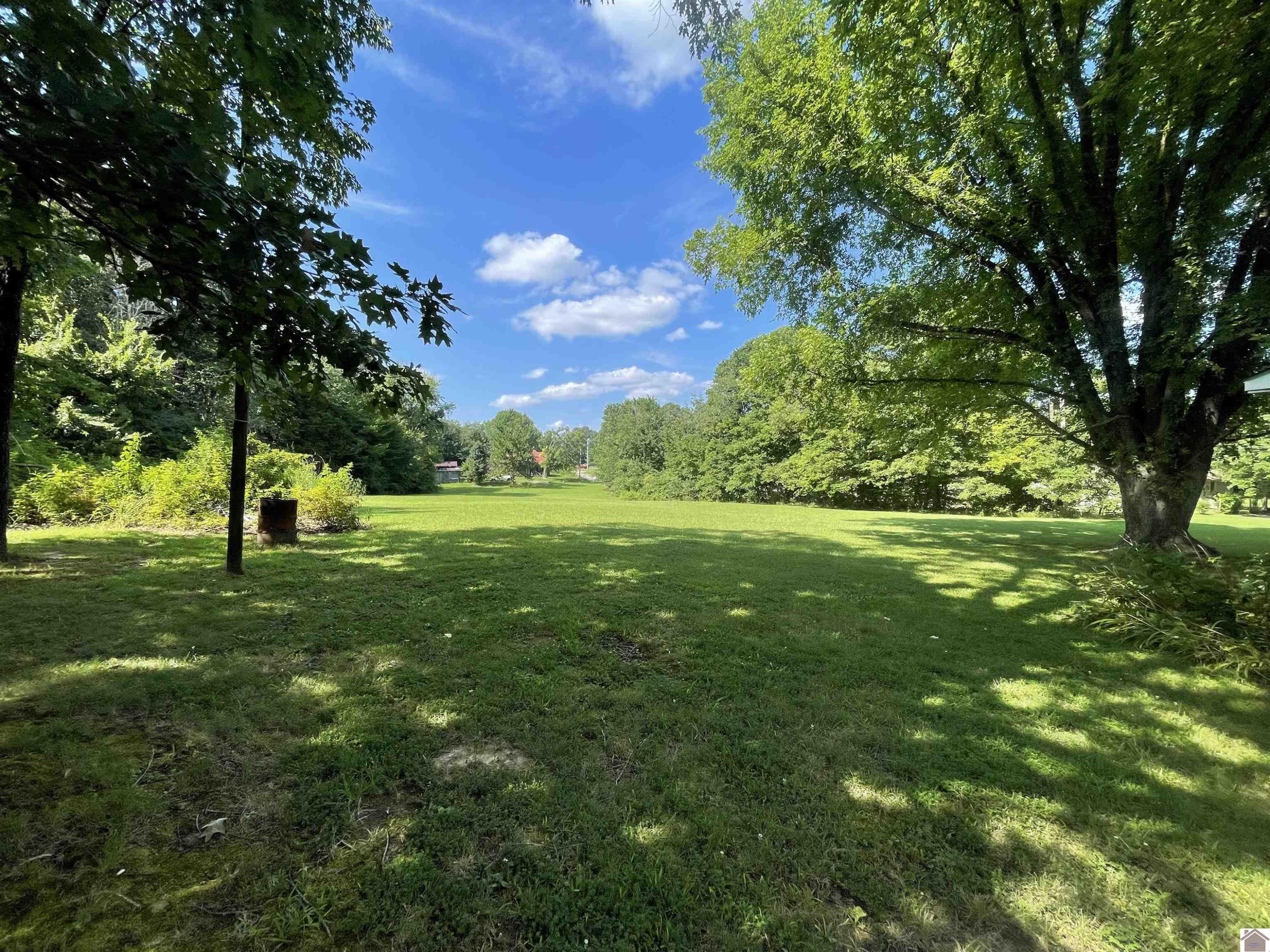 4419 Radio Road Dexter, KY 42036 - Photo 25 of 31 Photo 25