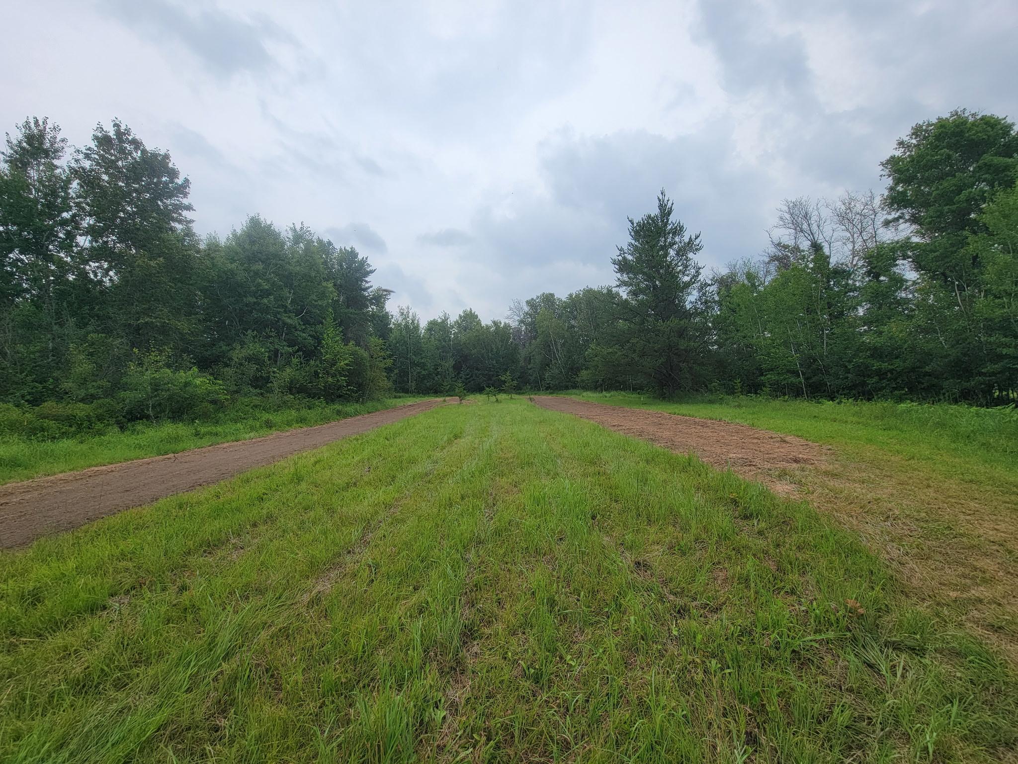 25820 County Road 26 Sebeka, MN 56477 - Photo 68 of 103