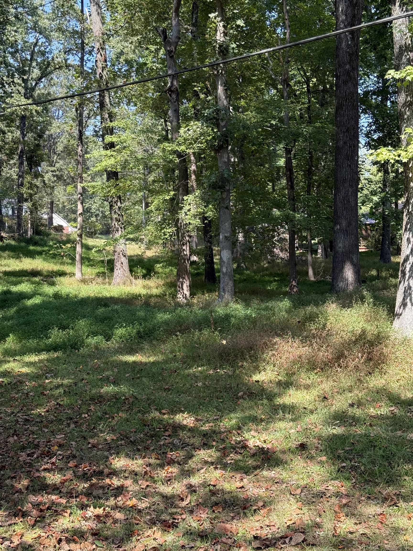 120 Blueberry Road Eads, TN 38028 - Photo 40 of 40 Lot 15 is 1.03AC and is perfect for a detatched garage/workshop area.