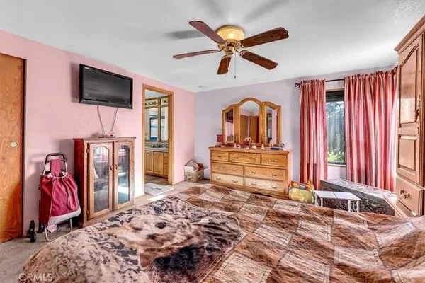 a bedroom with a bed and a couch