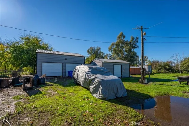 a view of a tree in the middle of a yard
