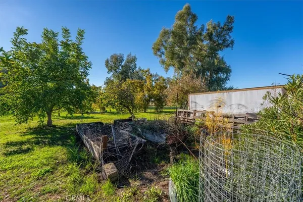 a view of an trees with a yard