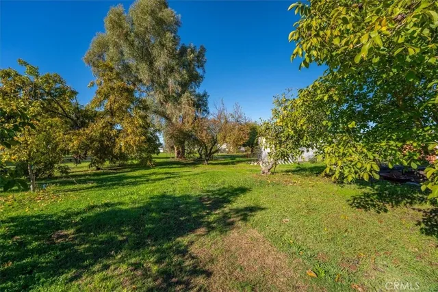 a view of a backyard with table and chairs and a tree