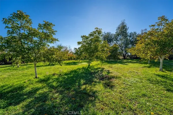 a view of a chairs on wooden deck