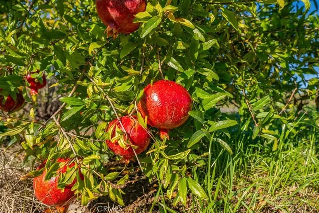 $410,000 | 22319 O, Corning, CA 96021