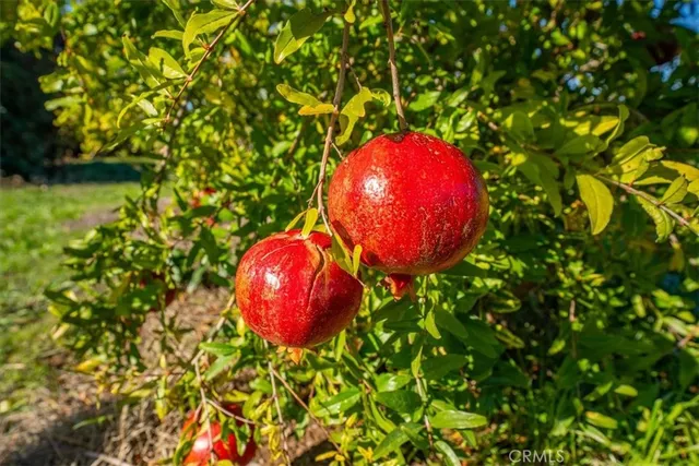 $410,000 | 22319 O, Corning, CA 96021