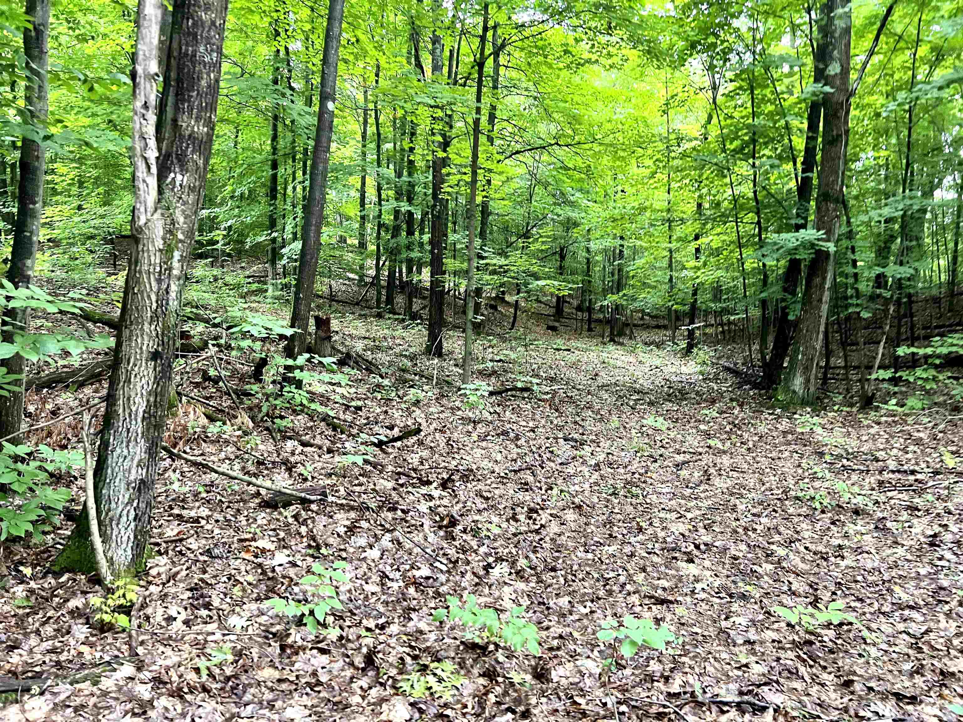 9 9 Mile Road Kingsley, MI 49649 - Photo 8 of 66