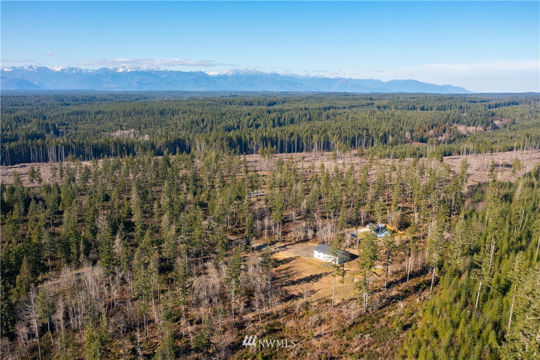 100 Northeast Ridgetop Court Belfair, WA 98528 - Photo 26 of 34 Gallery Image 26