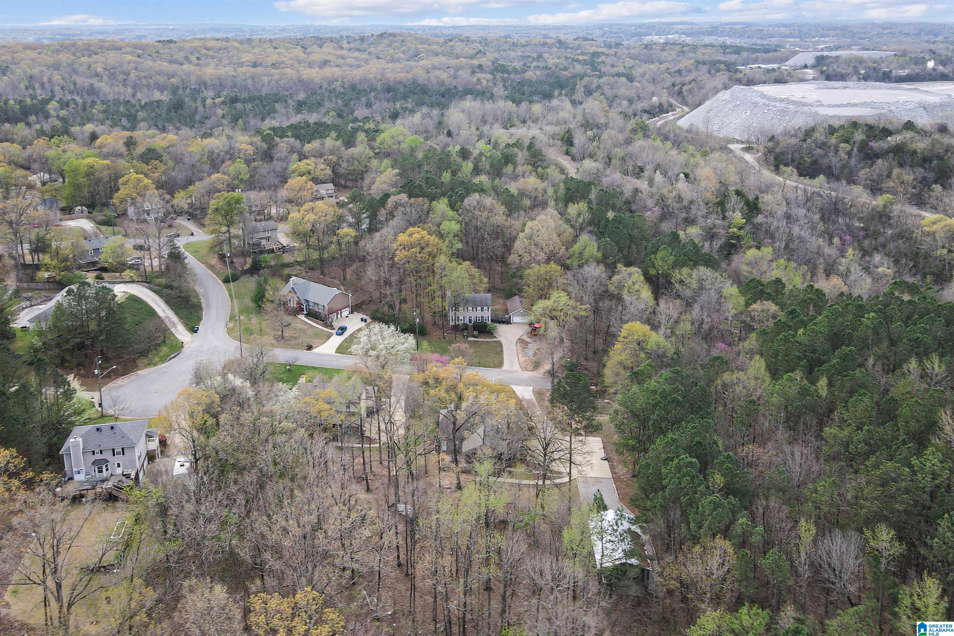424 Forest Hills Place Alabaster, AL 35007 - Photo 59 of 65