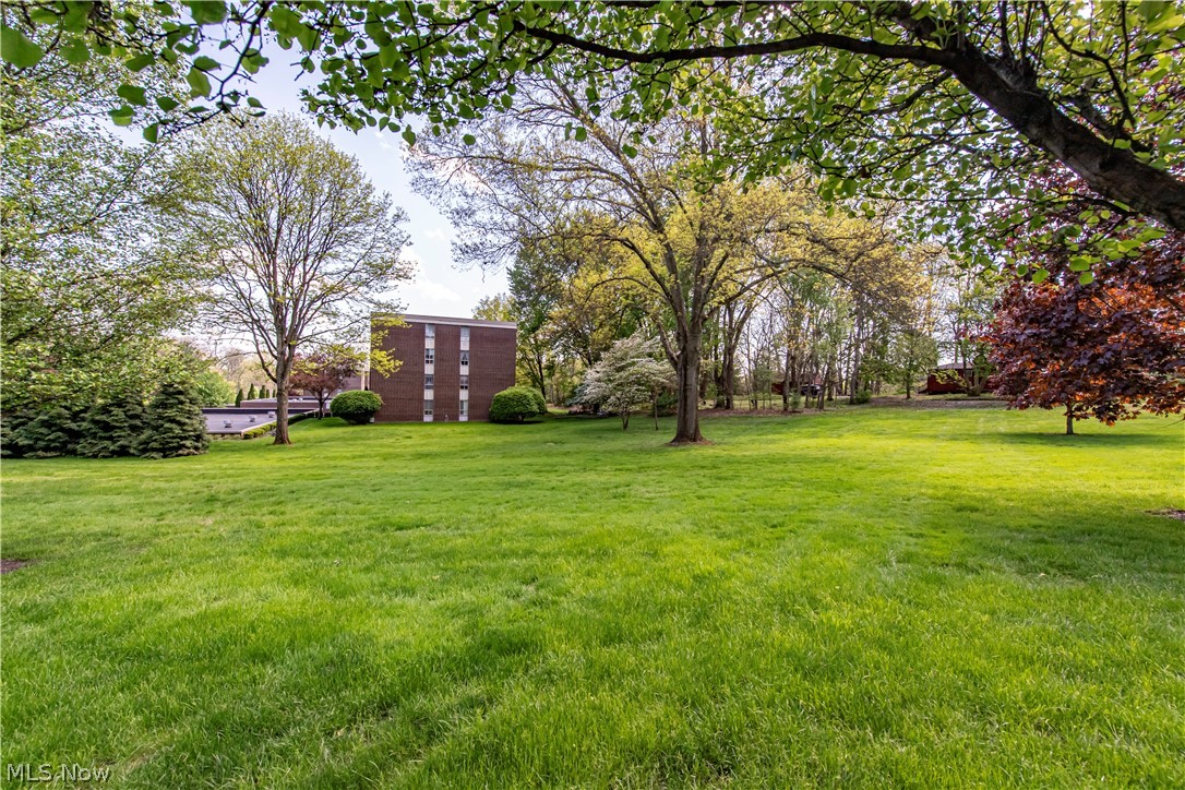 3064 Kent Road, Unit 309A Stow, OH 44224 - Photo 26 of 27 Lots of greenspace!