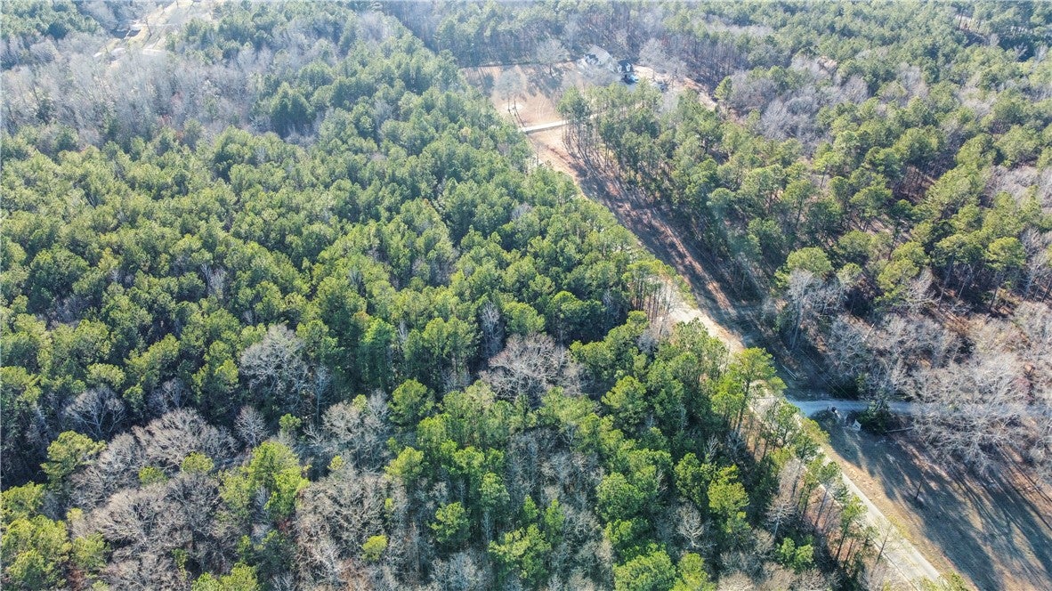 0 Judge Brown Road Valley, AL 36854 - Photo 10 of 11 Gallery Image 10