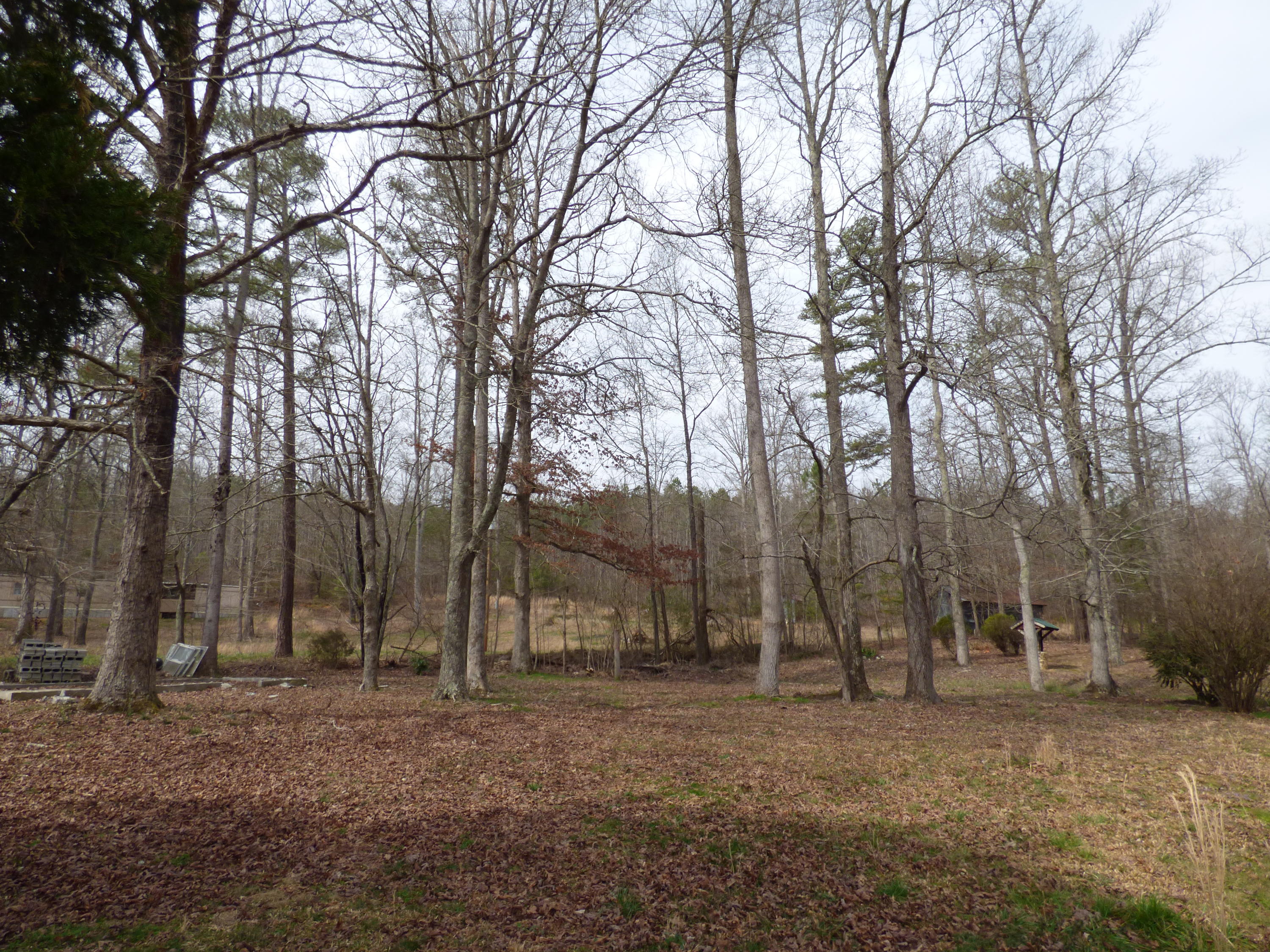 665 West Armuchee Road Summerville, GA 30747 - Photo 11 of 11 P1010578