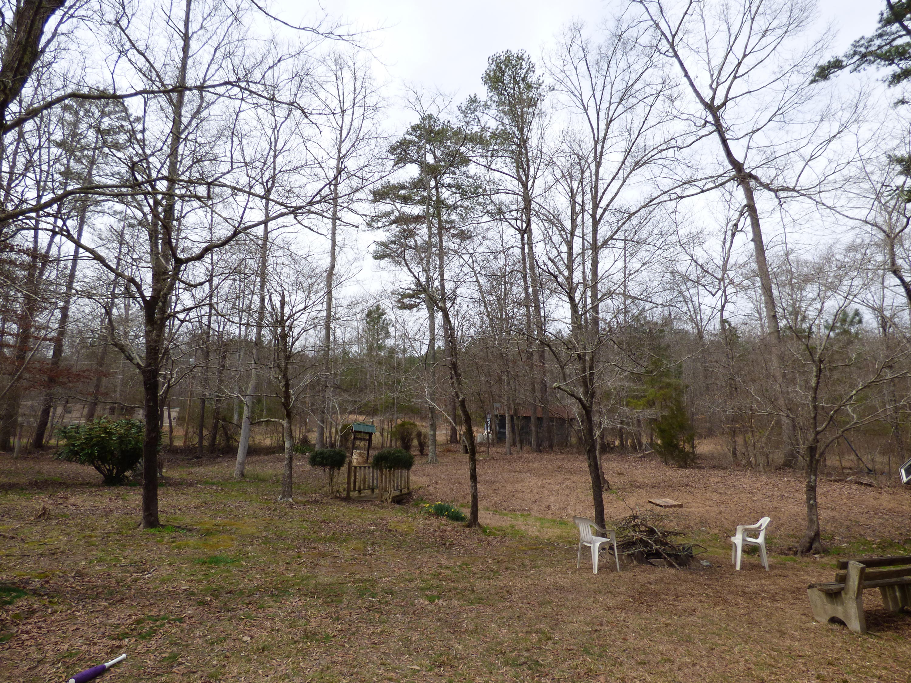 665 West Armuchee Road Summerville, GA 30747 - Photo 10 of 11 P1010568