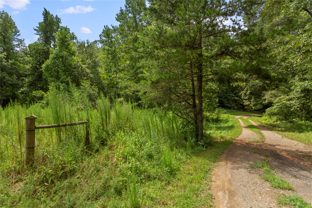 174 New Madison Road Westminster, SC 29693 - Photo 38 of 49 Gallery Image 38