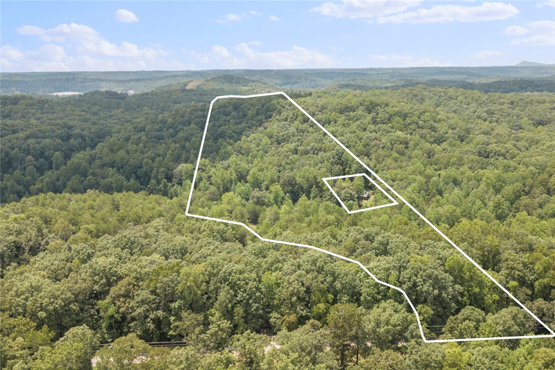 174 New Madison Road Westminster, SC 29693 - Photo 42 of 49 View from the backside (Cleveland pike)