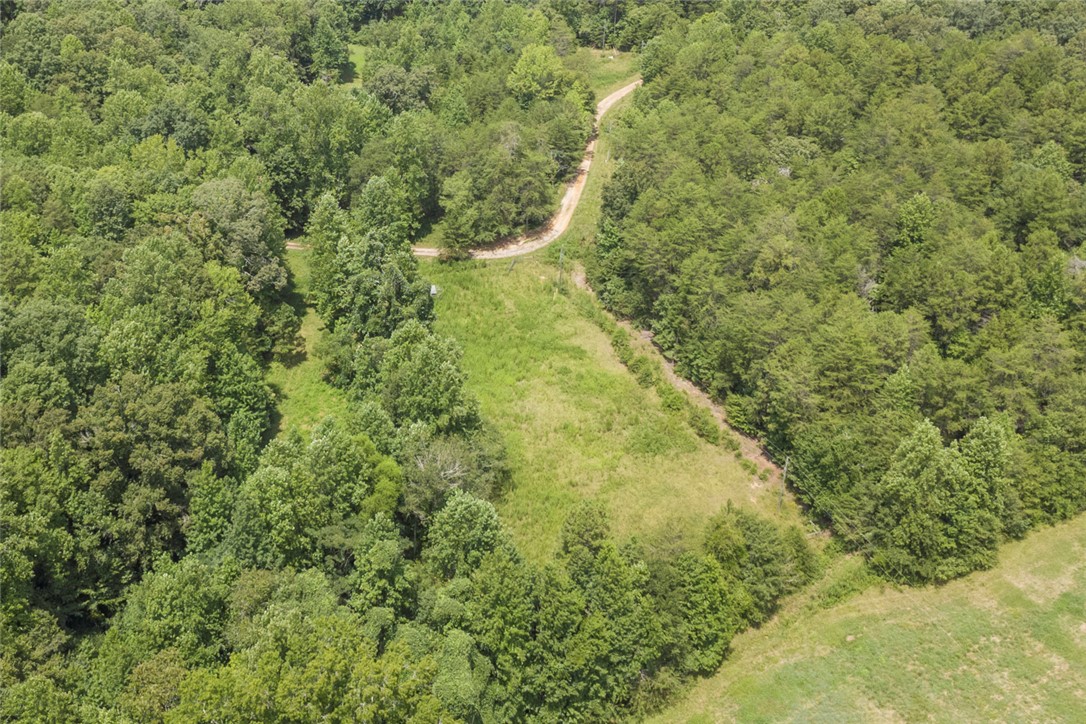 174 New Madison Road Westminster, SC 29693 - Photo 44 of 49 cleared feild on the backside from cleveland pike