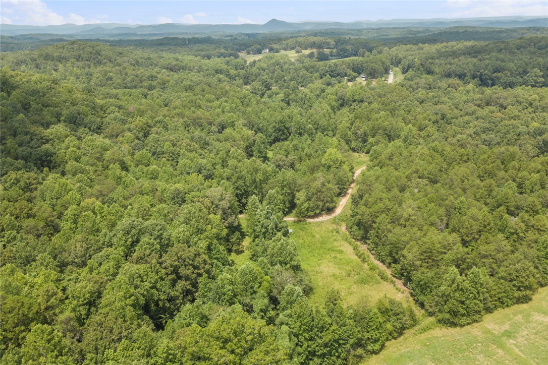 174 New Madison Road Westminster, SC 29693 - Photo 45 of 49 Gallery Image 45