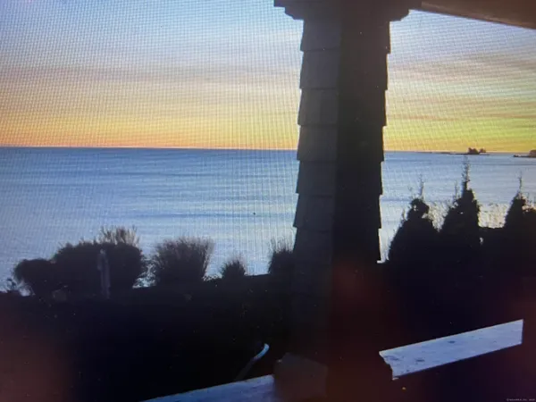 a view of a garden with pathway