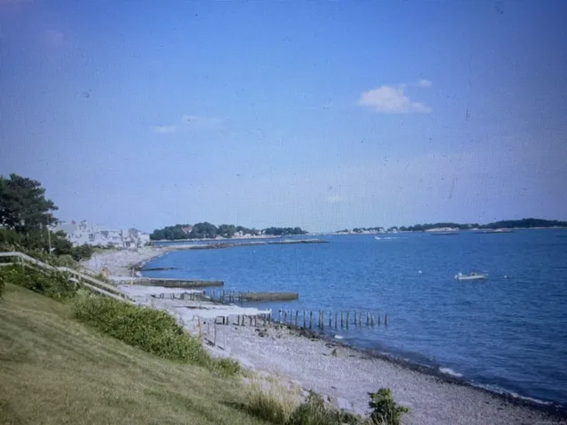 a view of a garden with pathway