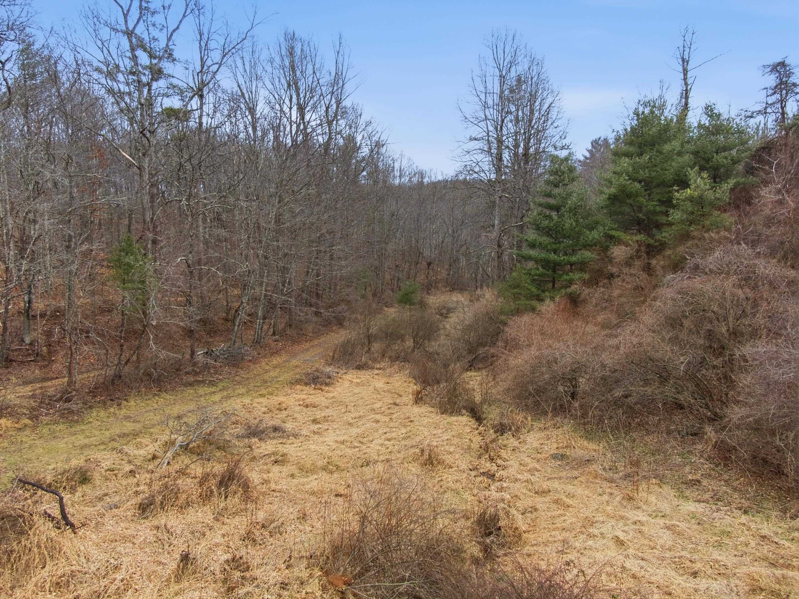 Tbd Dobbins Farm Road Northeast Floyd, VA 24091 - Photo 25 of 37 Gallery Image 25