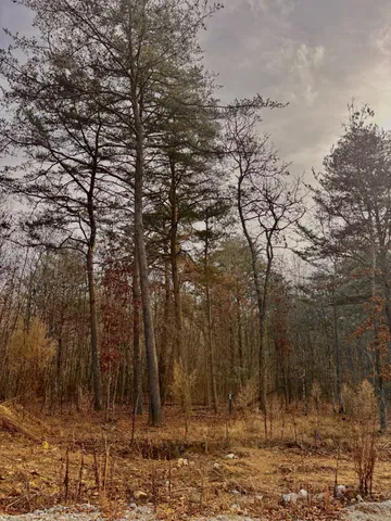 $83,500 | 0 Summerfield Road, Tracy City, TN 37387