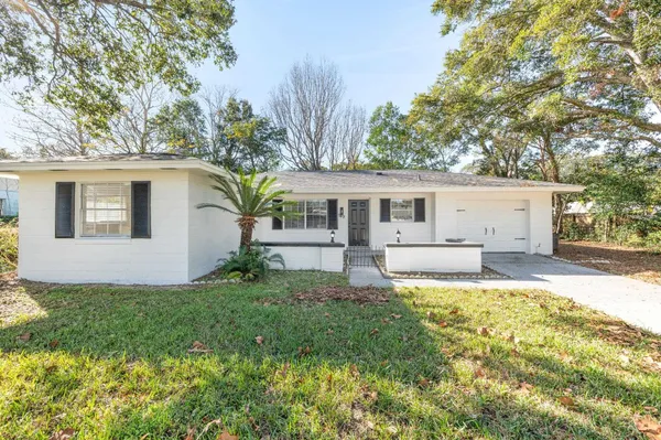 a house that has a tree in front of it