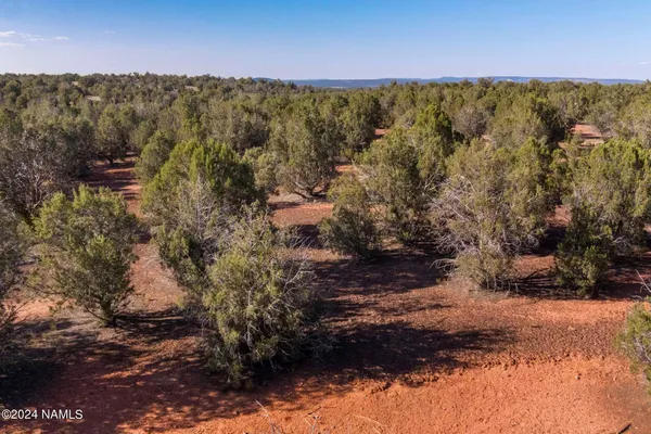 a view of a yard with wooden fence