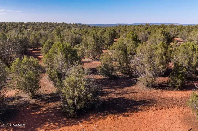 a view of a yard with wooden fence