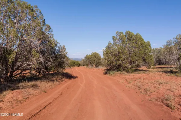 a view of a yard covered with snow